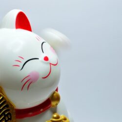 Prêt Epargne Logement VS. Plan Epargne Logement